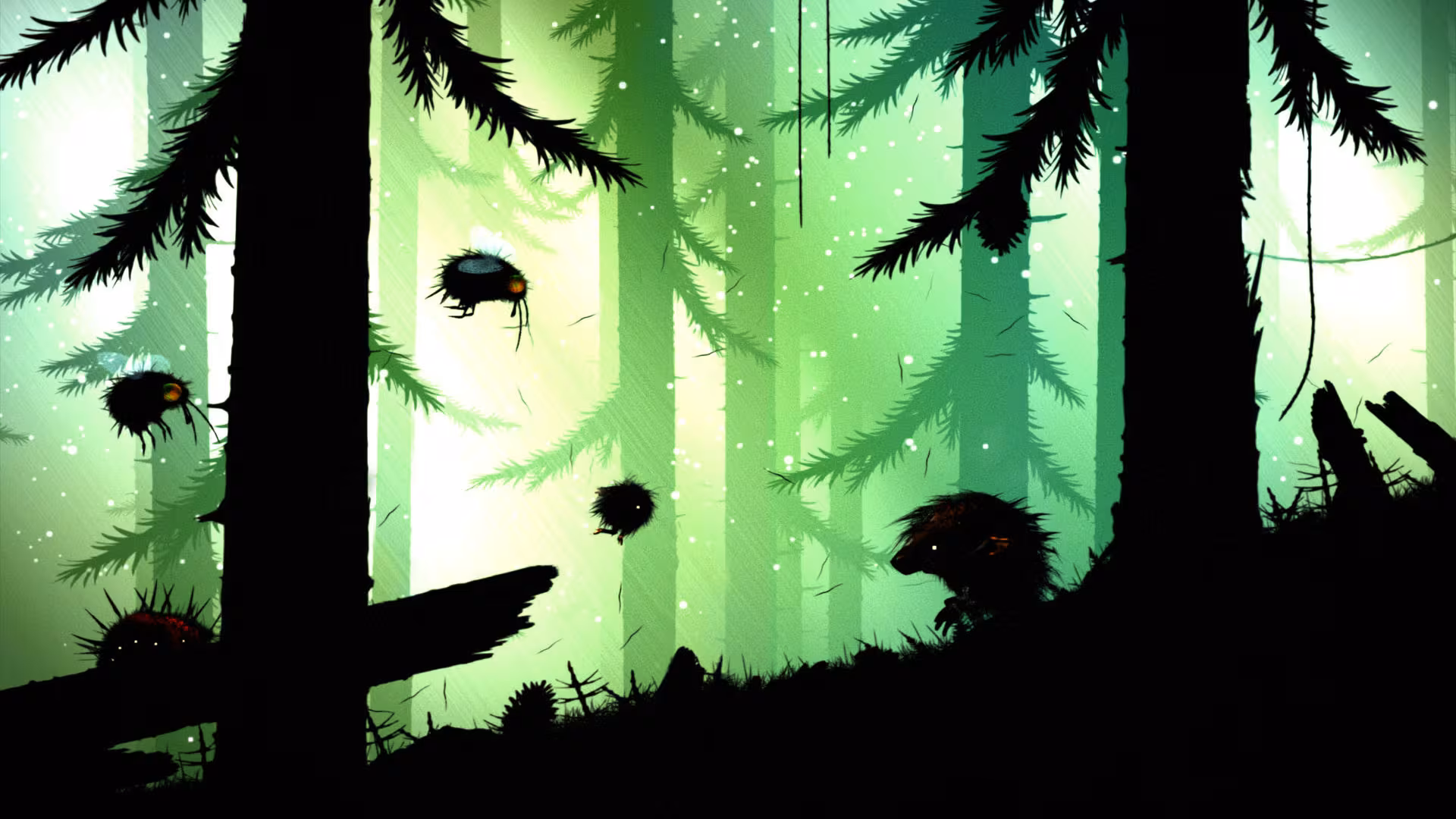 FEIST - feist_2.avif