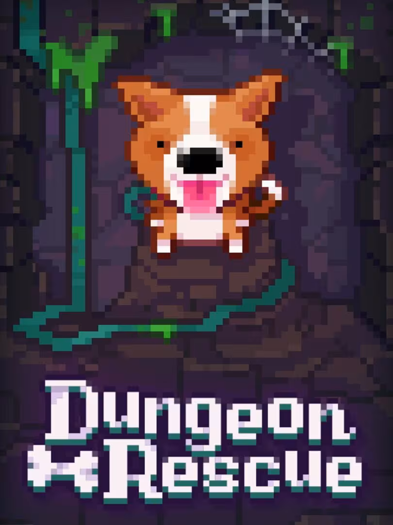 Capsule for Fidel Dungeon Rescue
