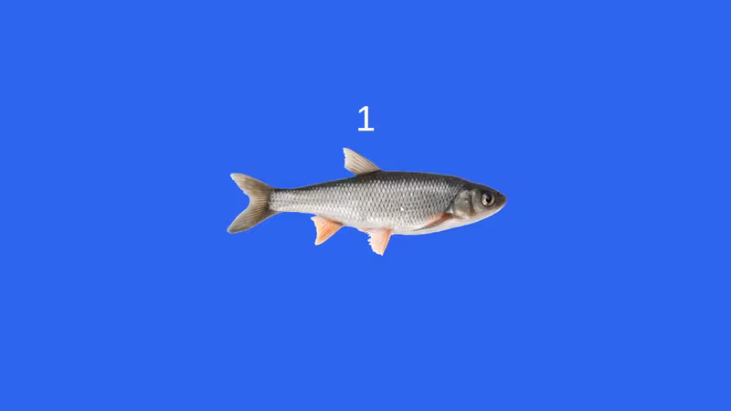 Fish - fish_2.avif