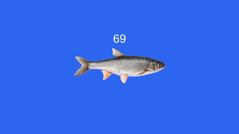 Fish - fish_4.avif