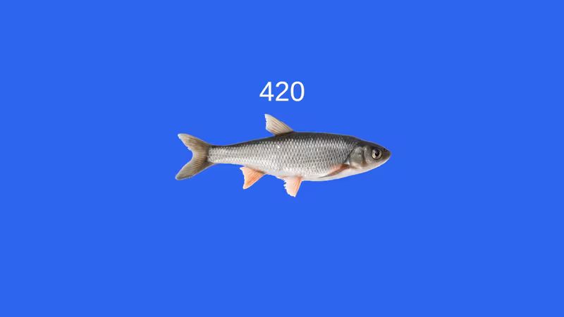 Fish - fish_5.avif