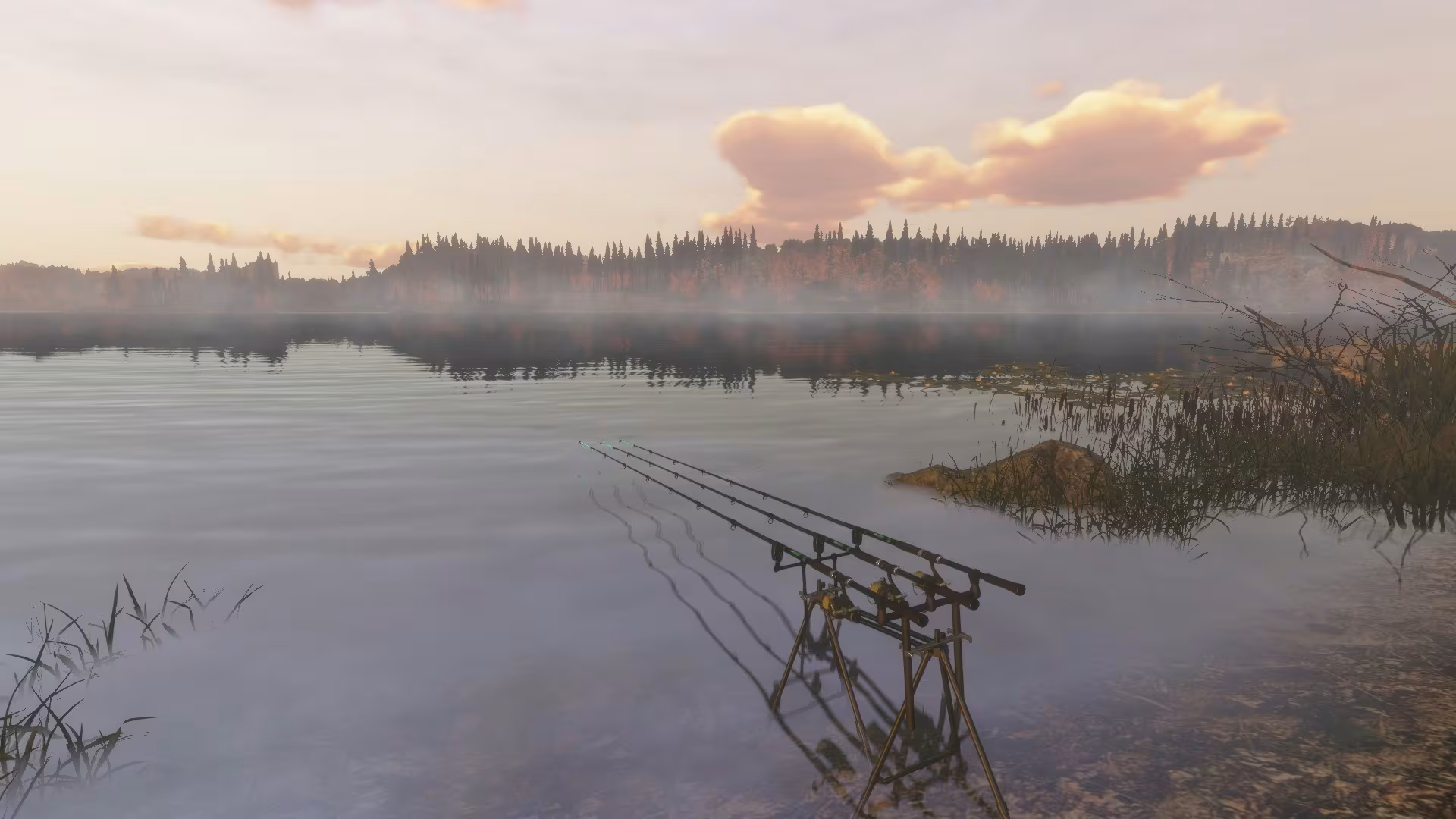 Fisher Online - fisher-online_2.avif