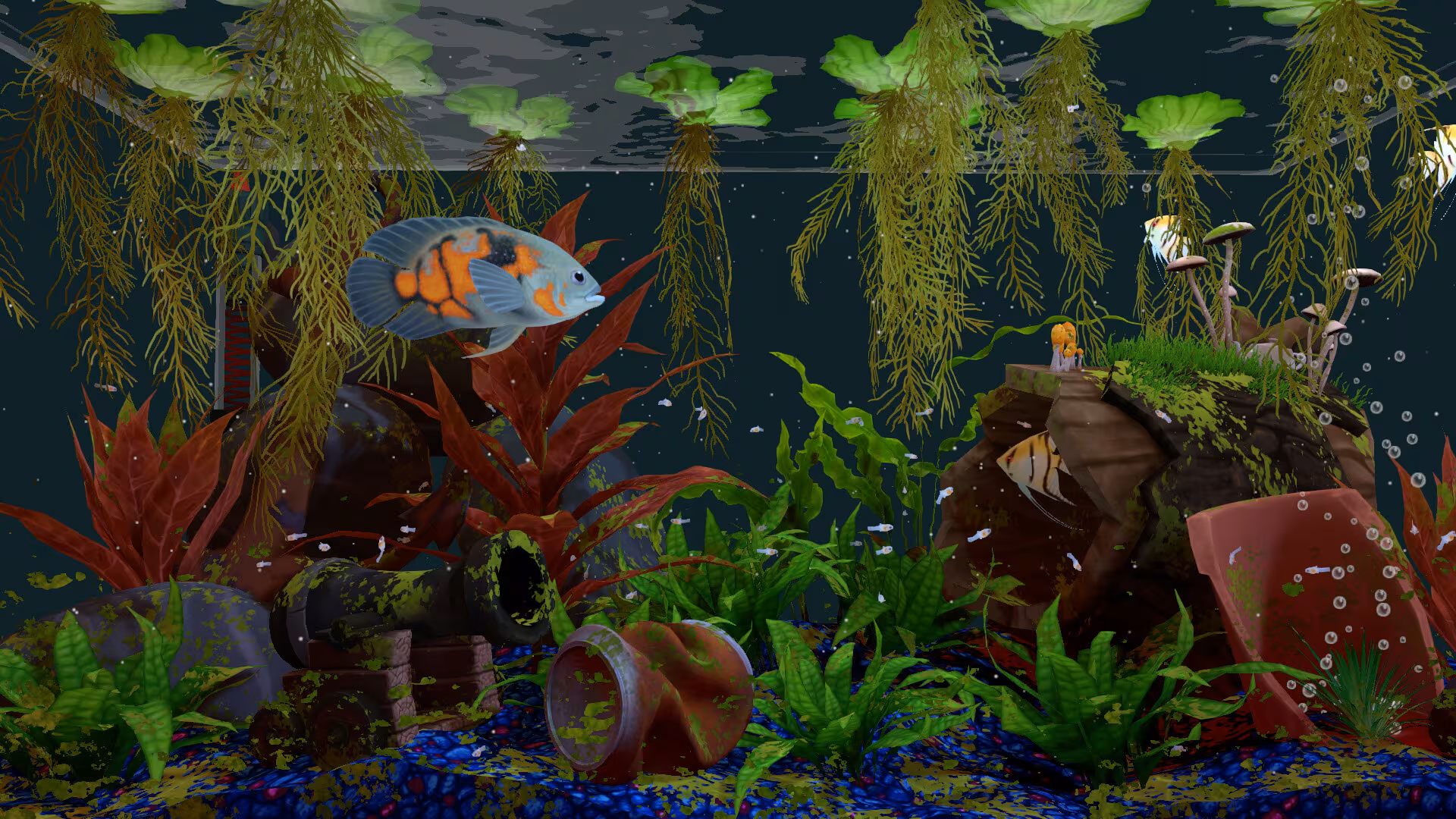 FISHERY - fishery_5.avif