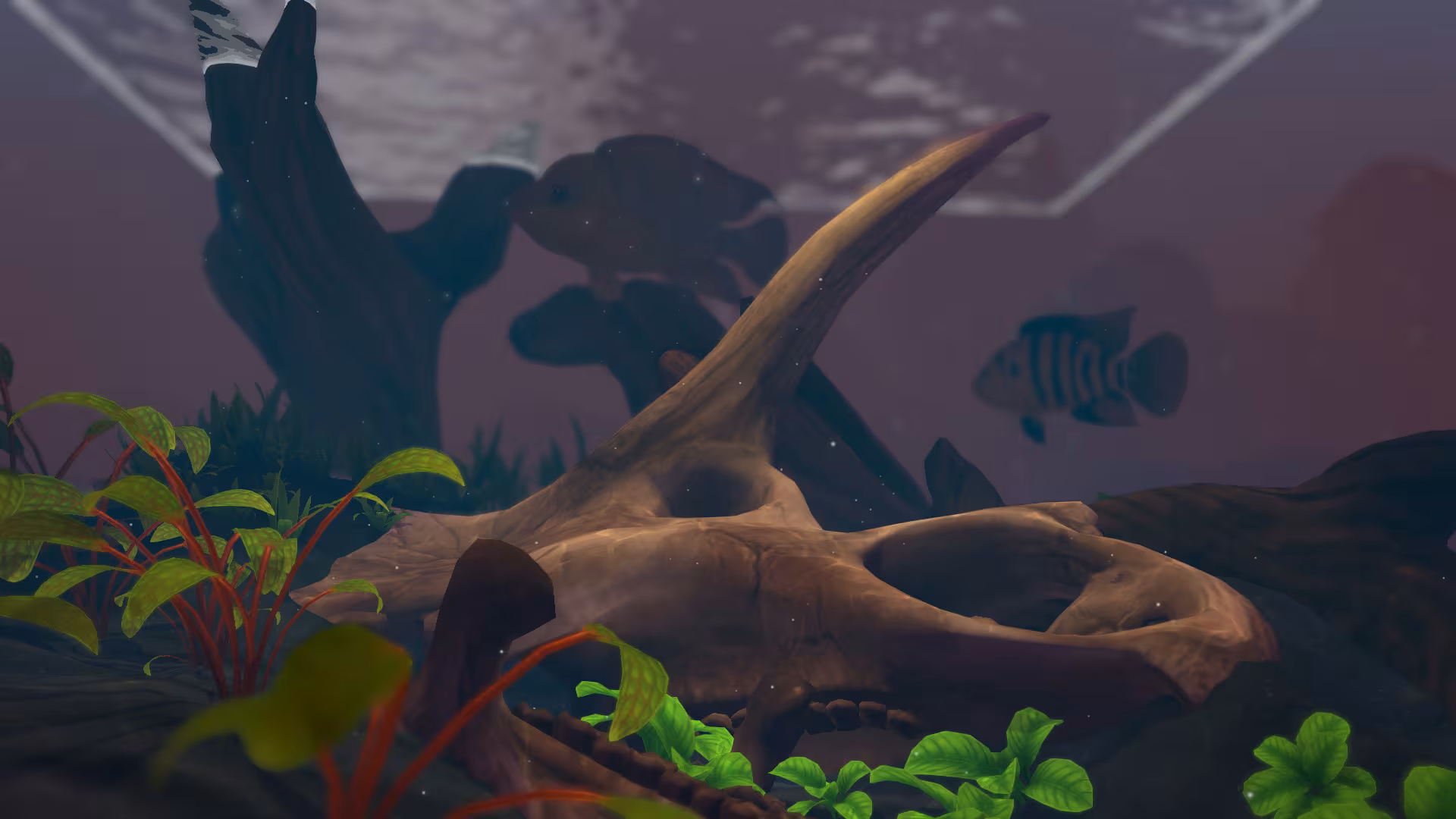 FISHERY - fishery_6.avif