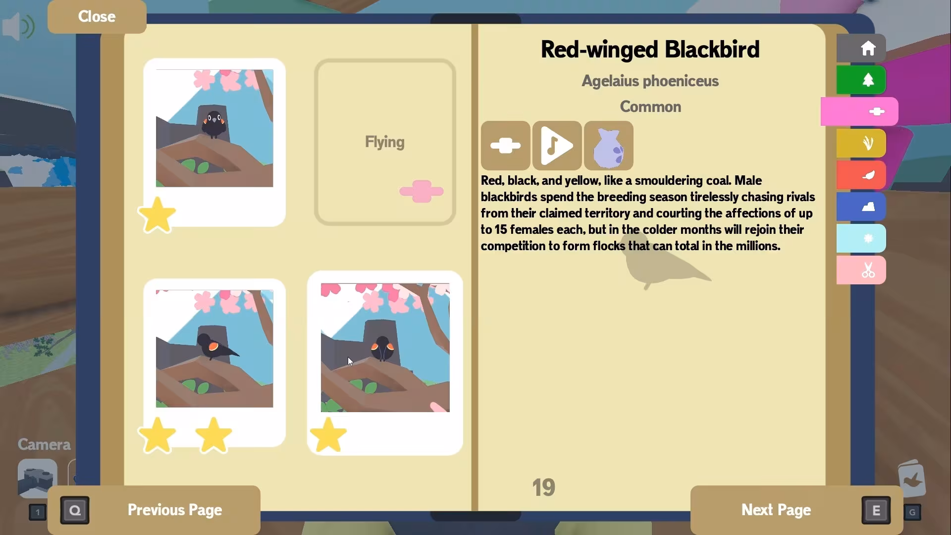 Flock Around - flock-around_4.avif