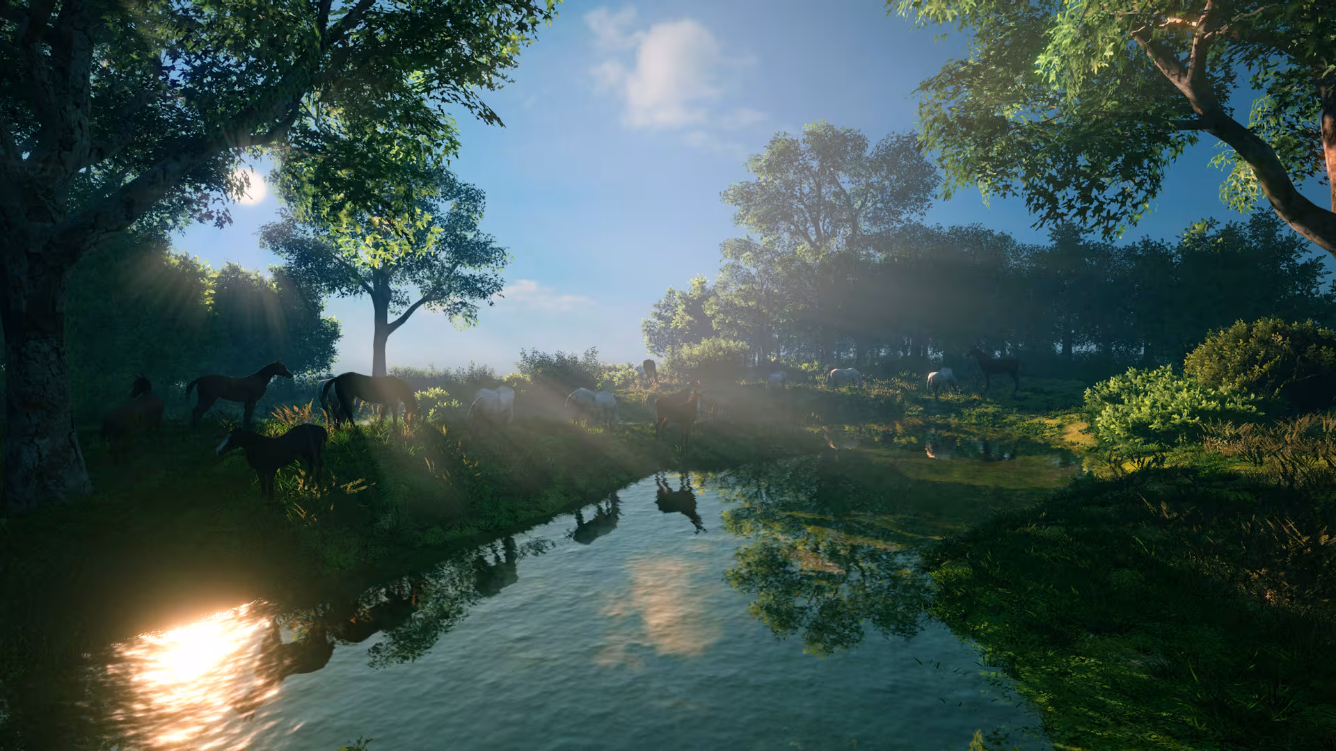 FlowScape - flowscape_1.avif