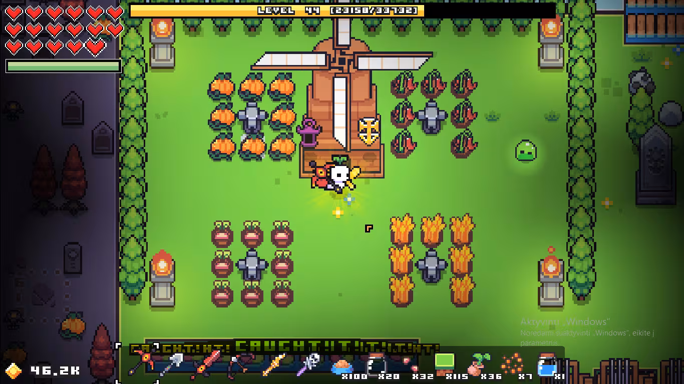 Forager - forager_2.avif