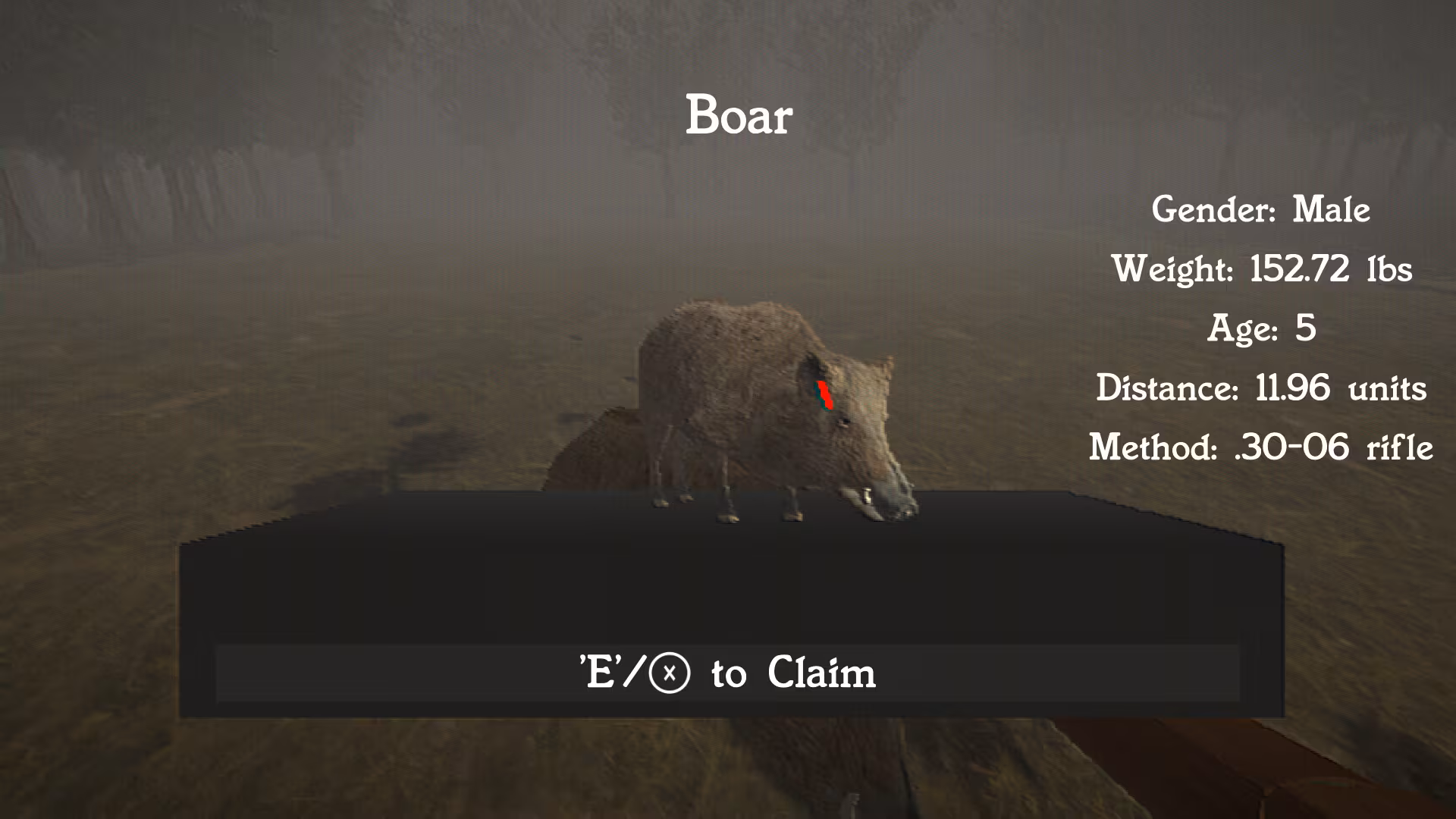 Hog Hunter 2021 - hog-hunter-2021_3.avif