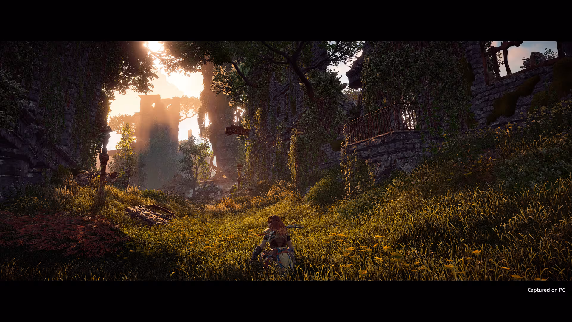 Horizon Zero Dawn™ Complete Edition - horizon-zero-dawn-complete-edition_5.avif