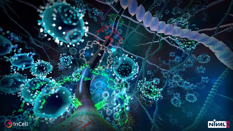 InCell VR - incell-vr_2.avif