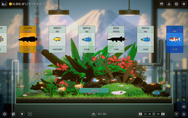 Joyquarium - joyquarium_3.avif