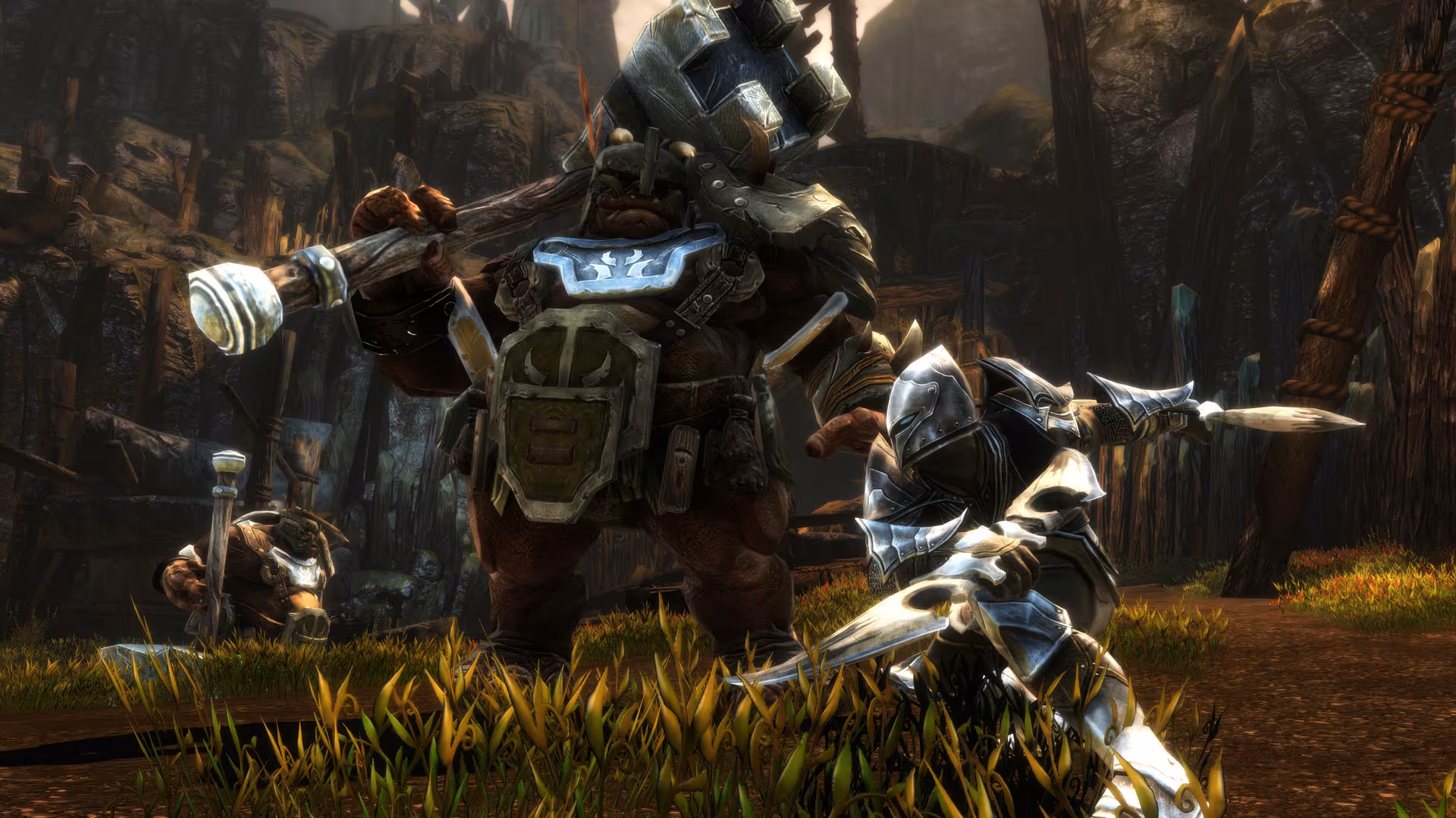 Kingdoms of Amalur: Re-Reckoning - kingdoms-of-amalur-re-reckoning_2.avif