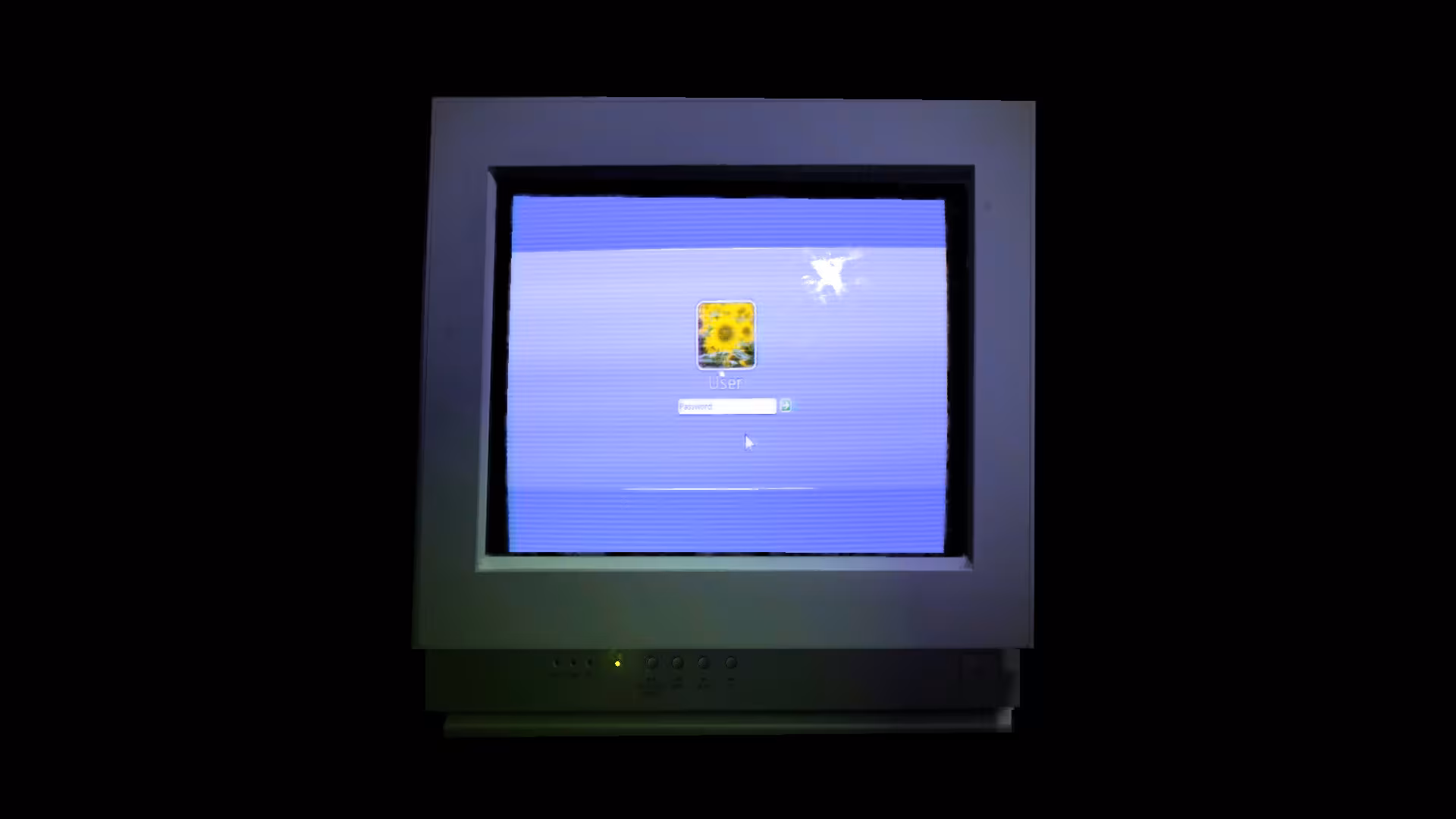 KinitoPET - kinitopet_3.avif