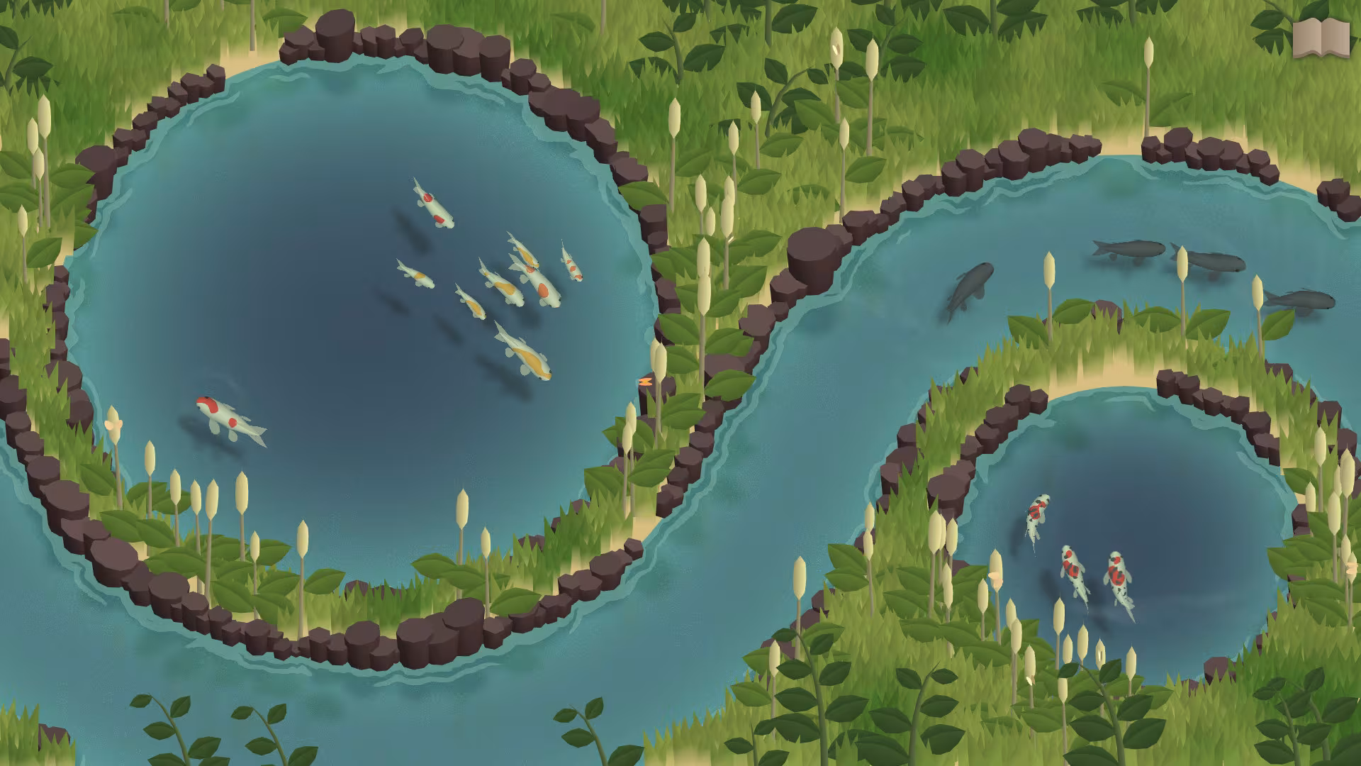 Koi Farm - koi-farm_1.avif