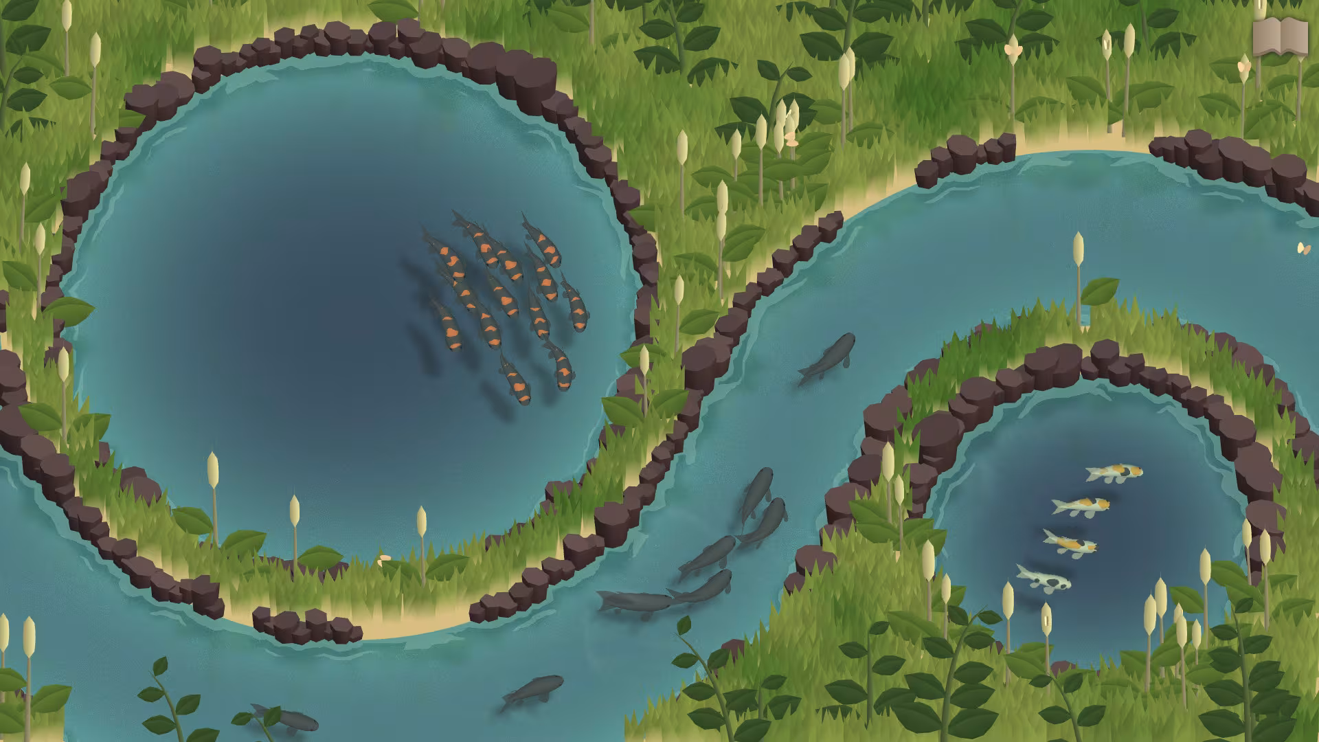 Koi Farm - koi-farm_3.avif