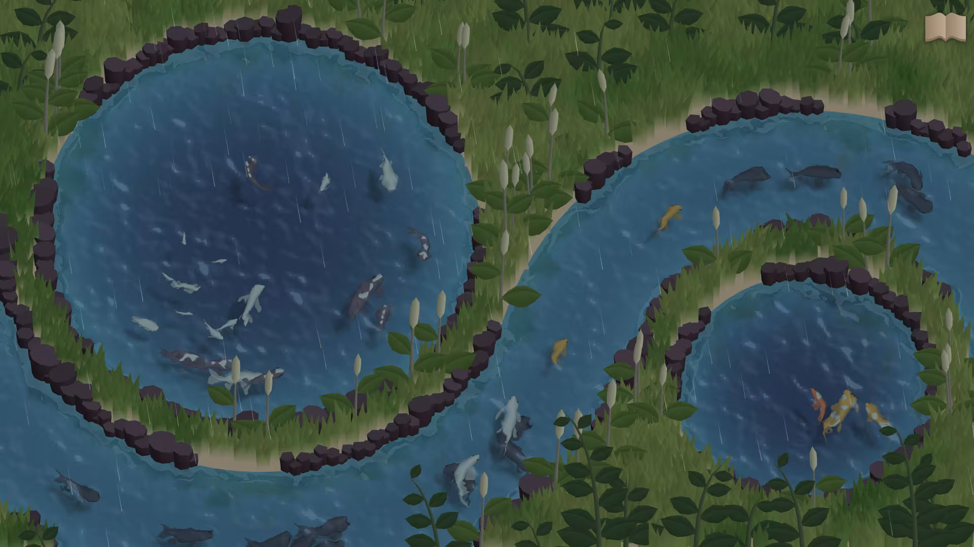 Koi Farm - koi-farm_5.avif