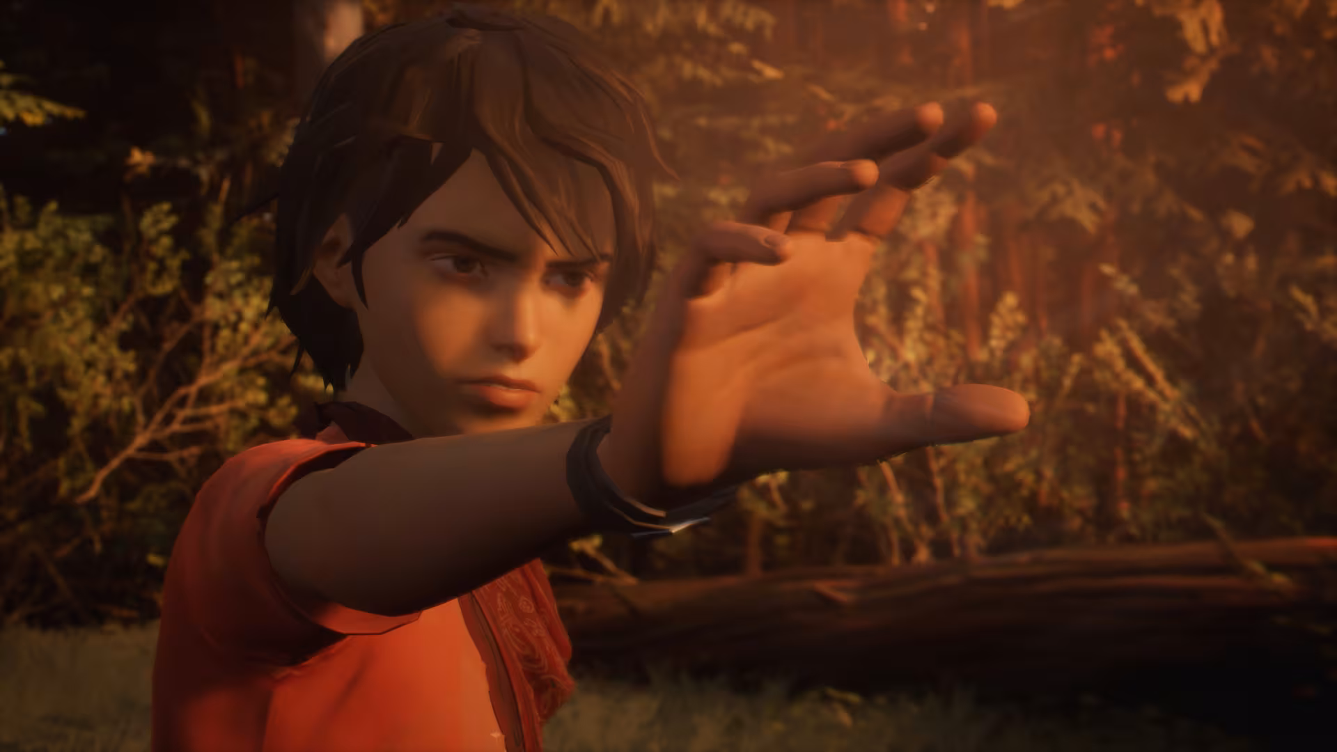 Life is Strange 2 - life-is-strange-2_1.avif