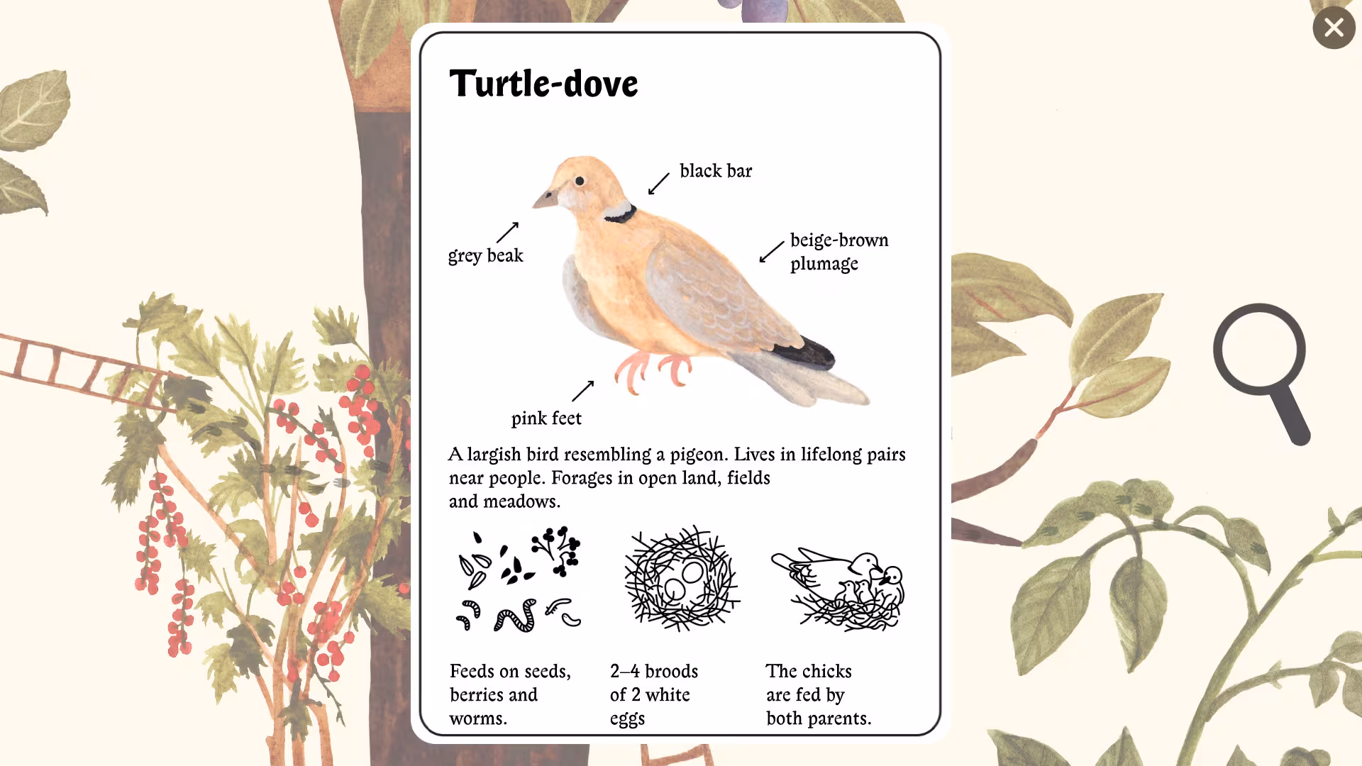 Little Mouse's Encyclopedia - little-mouse-s-encyclopedia_4.avif