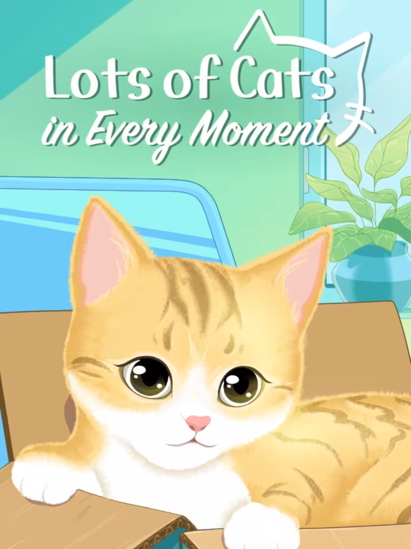 Capsule for Lots of Cats in Every Moment