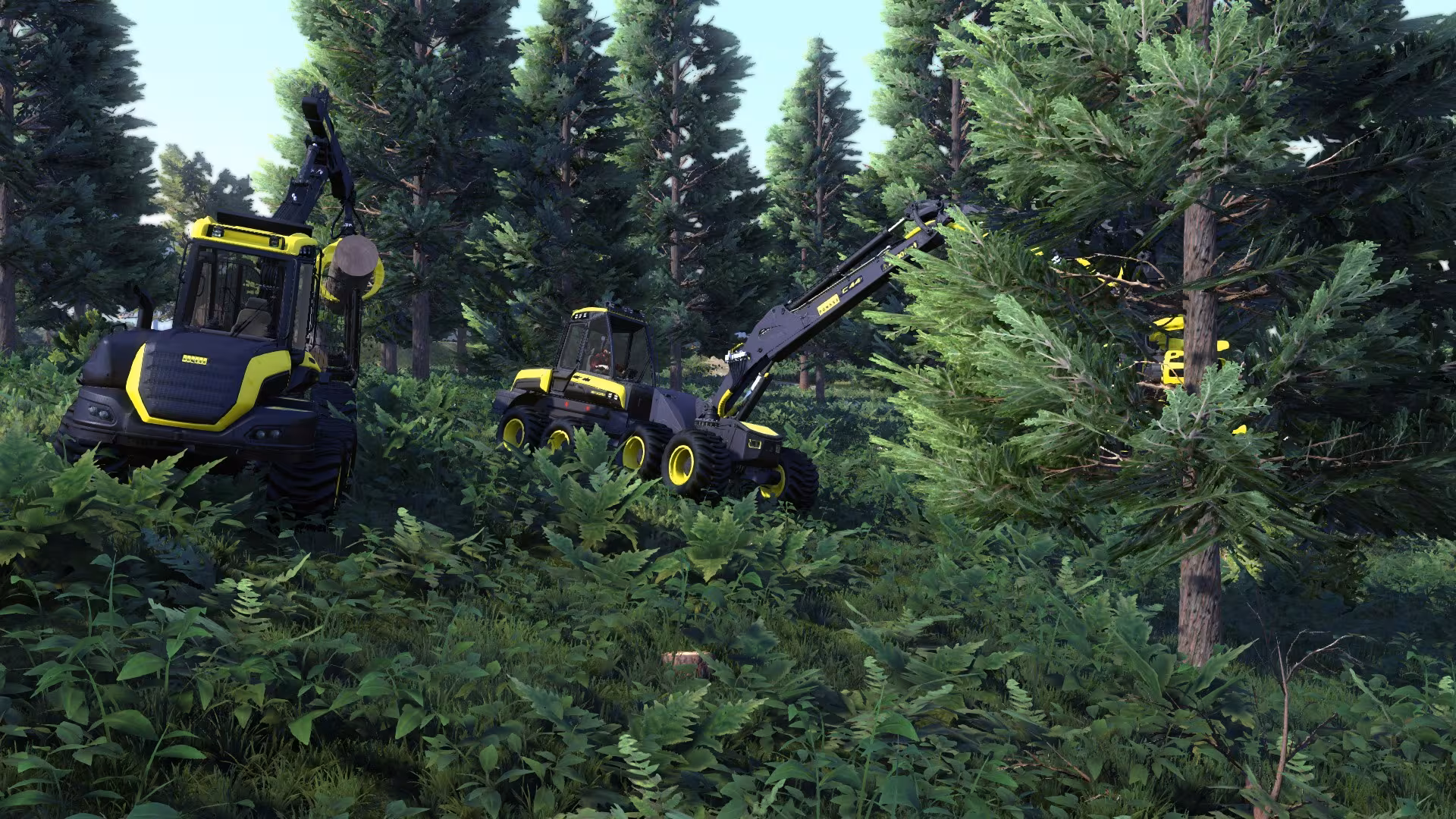 Lumberjack's Dynasty - lumberjack-s-dynasty_3.avif