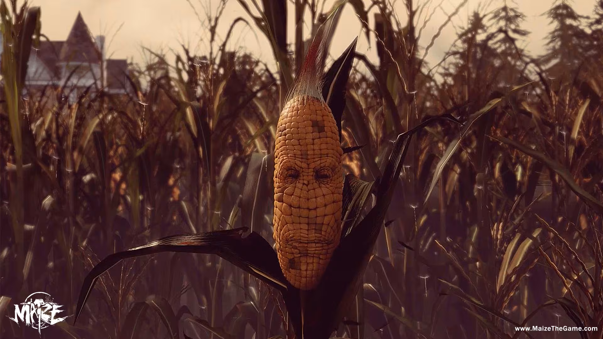 Maize - maize_1.avif