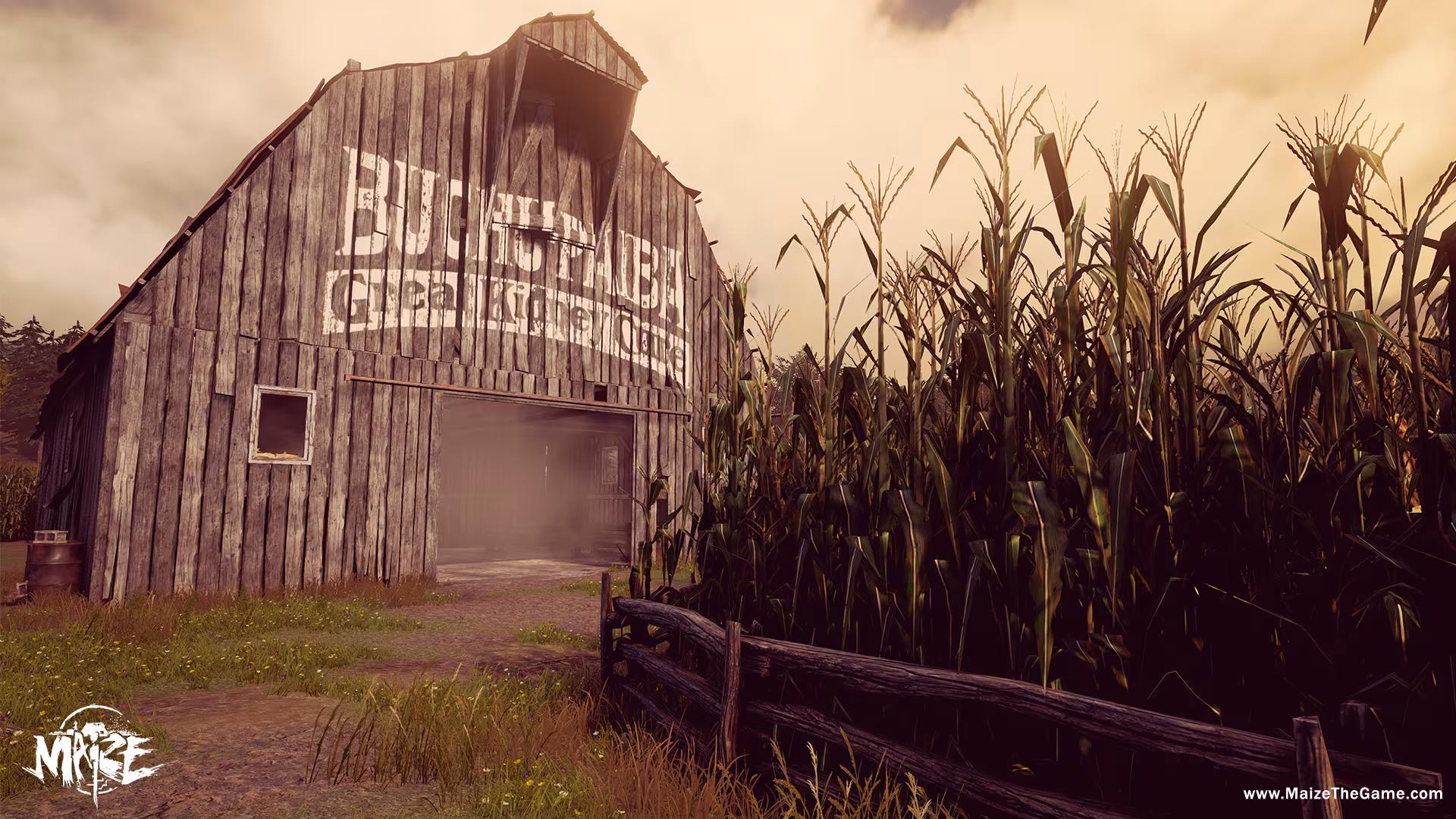 Maize - maize_6.avif