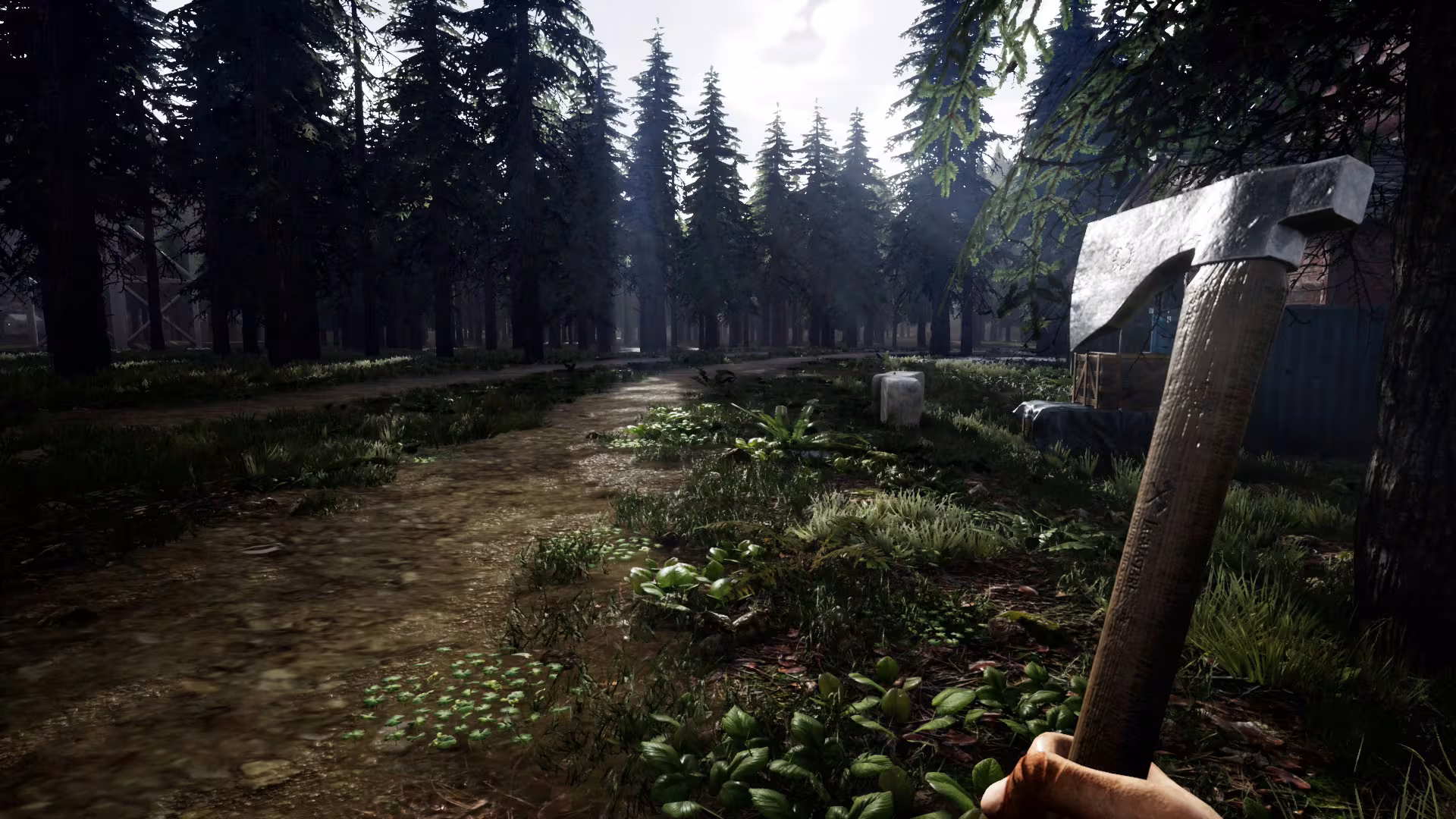 Mist Survival - mist-survival_4.avif