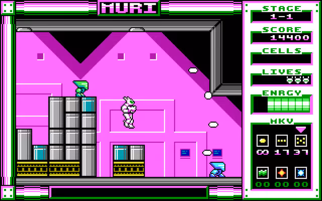 MURI - muri_4.avif