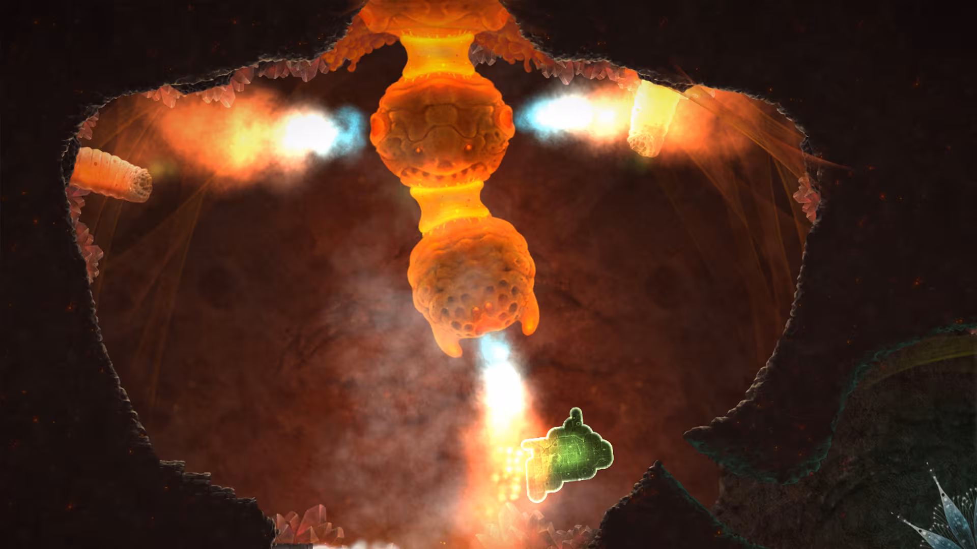 Mushroom 11 - mushroom-11_3.avif