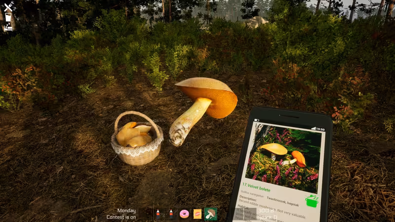 Mushroom Season - mushroom-season_3.avif