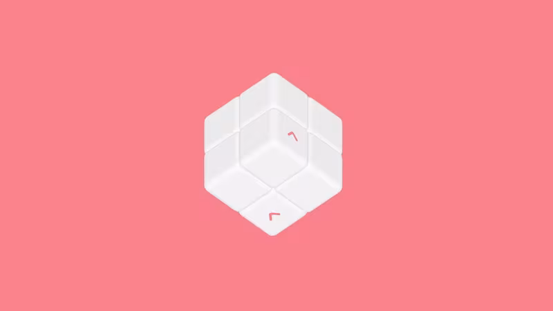 NABOKI - naboki_6.avif