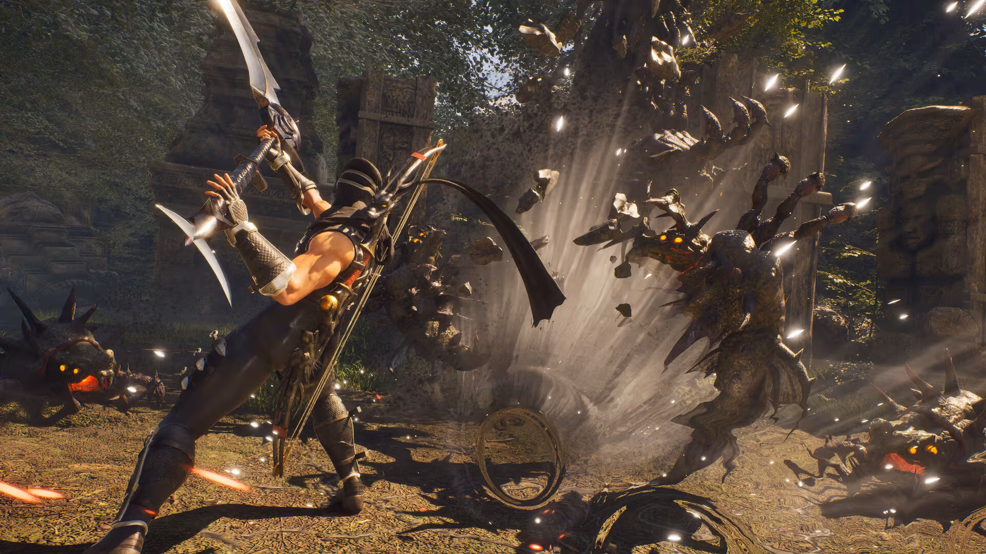 NINJA GAIDEN 2 Black - ninja-gaiden-2-black_3.avif