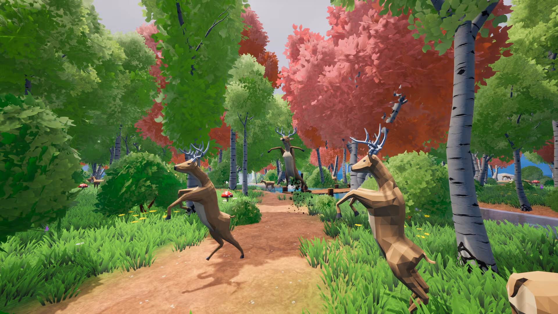 Oh Deer - oh-deer_1.avif