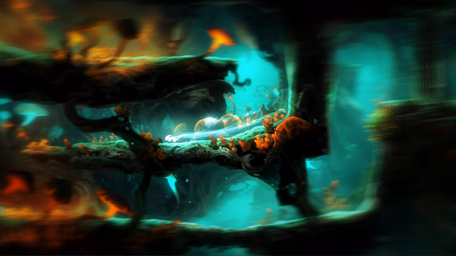 Ori and the Blind Forest: Definitive Edition - ori-and-the-blind-forest-definitive-edition_3.avif
