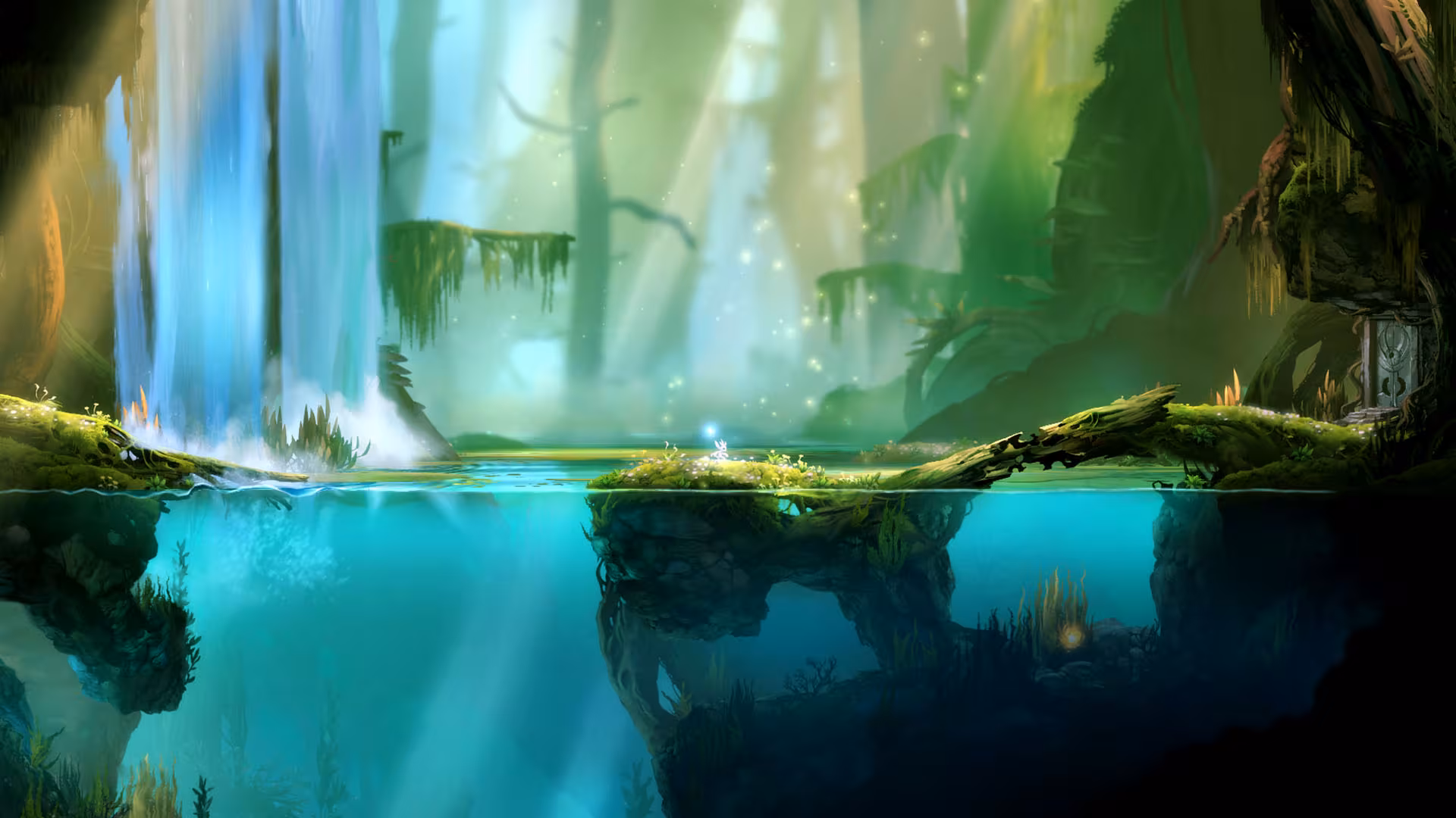 Ori and the Blind Forest - ori-and-the-blind-forest_1.avif