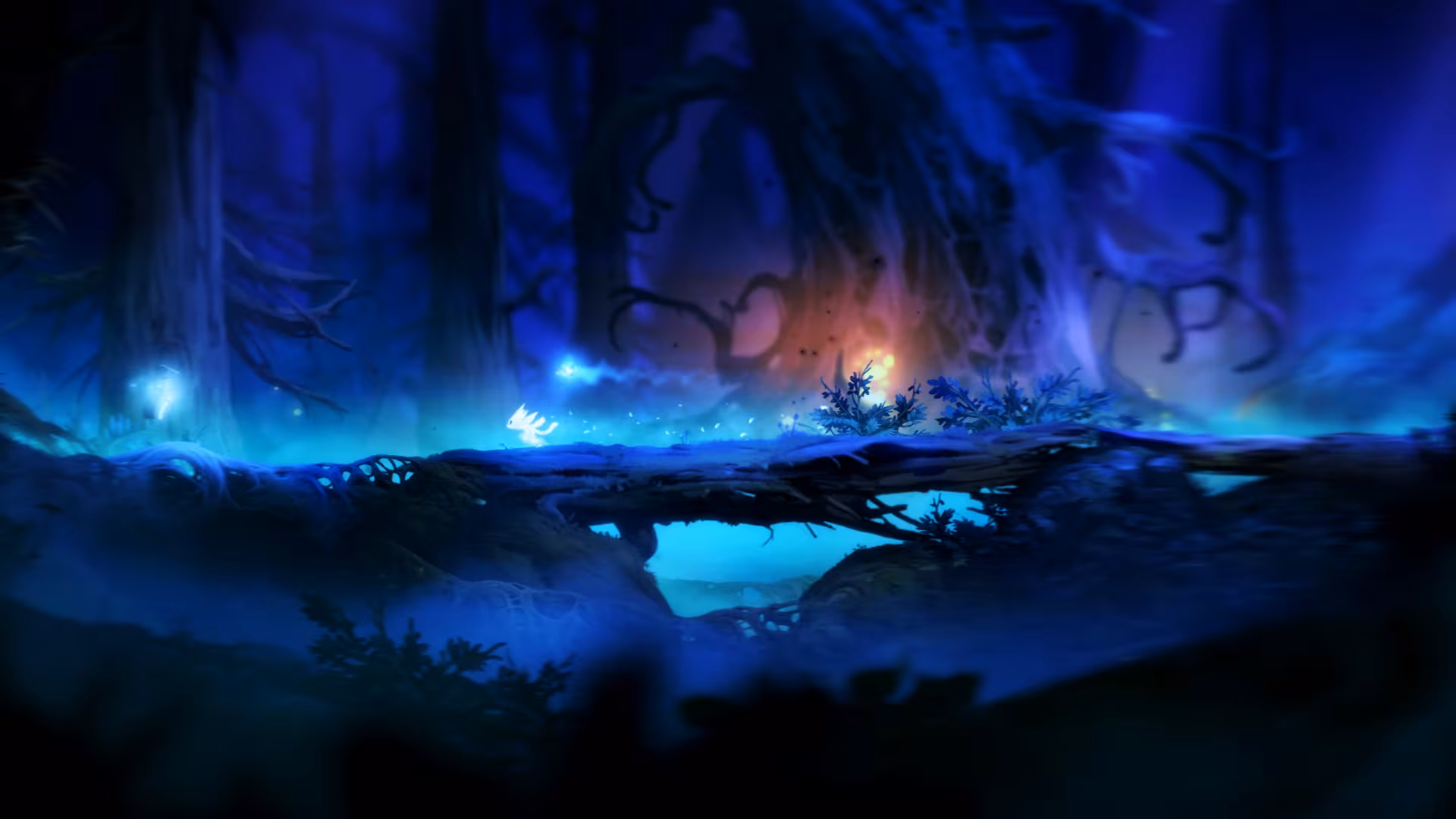 Ori and the Blind Forest - ori-and-the-blind-forest_5.avif
