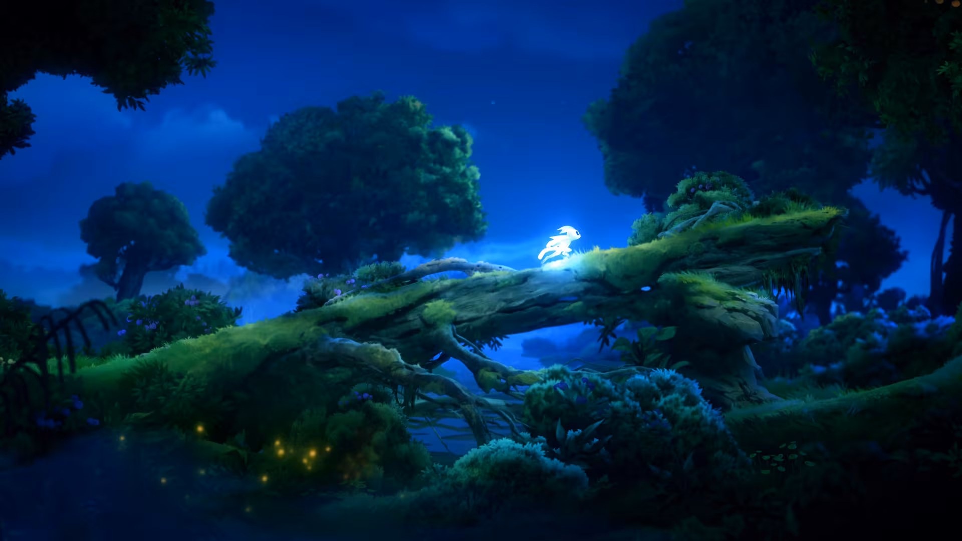 Ori and the Will of the Wisps - ori-and-the-will-of-the-wisps_6.avif