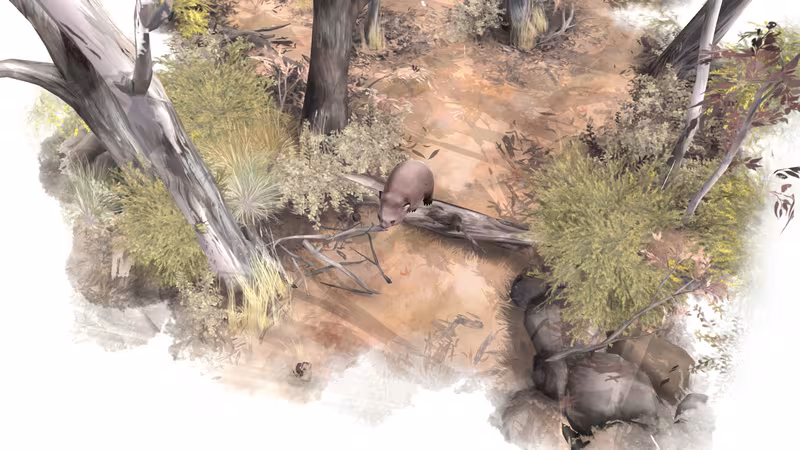 Paperbark - paperbark_6.avif