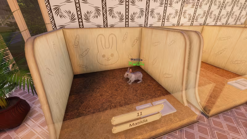 Pets Hotel: Prologue - pets-hotel-prologue_6.avif