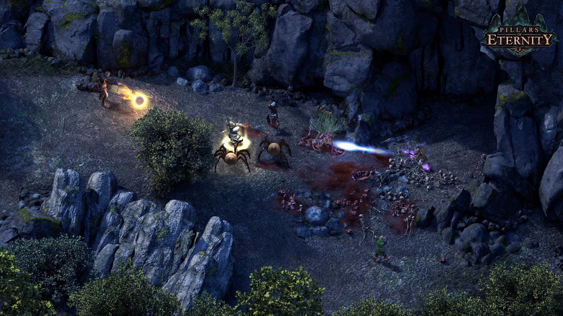 Pillars of Eternity - pillars-of-eternity_4.avif