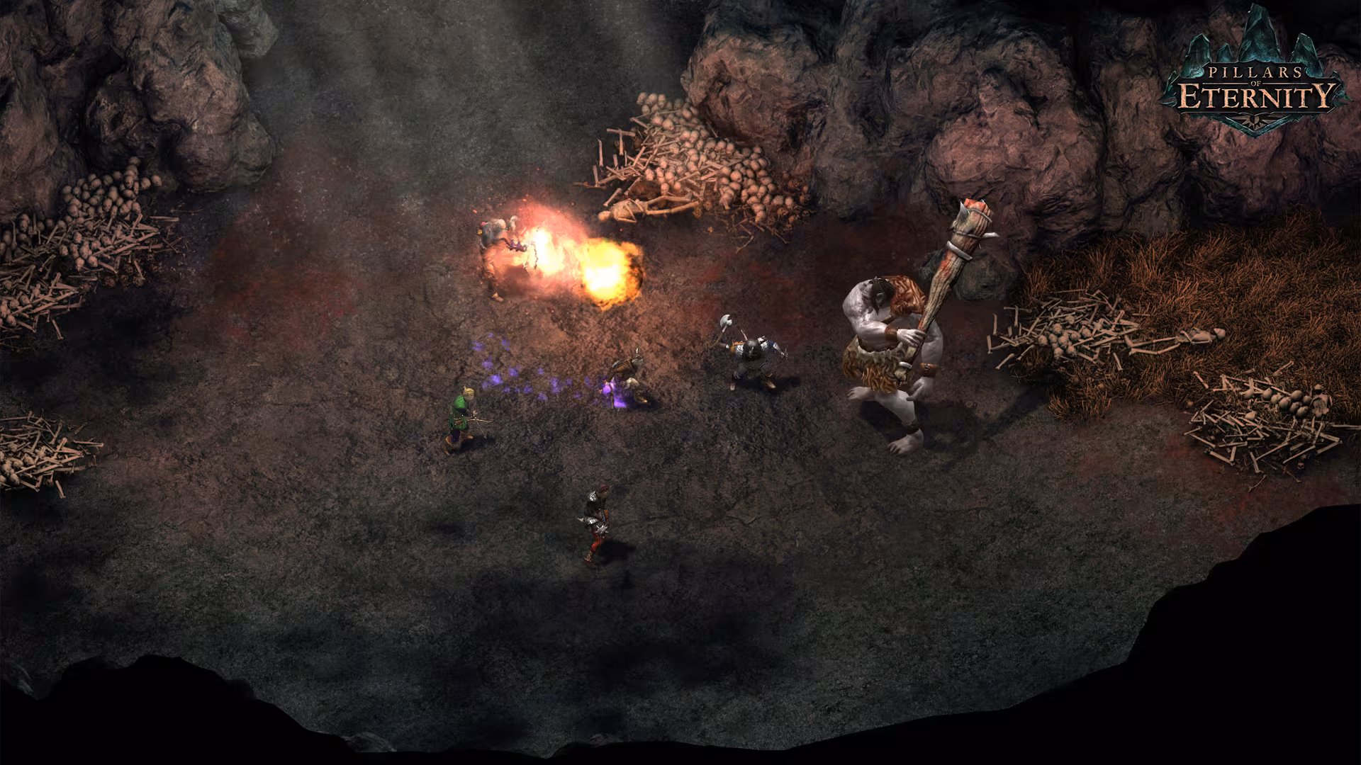 Pillars of Eternity - pillars-of-eternity_6.avif