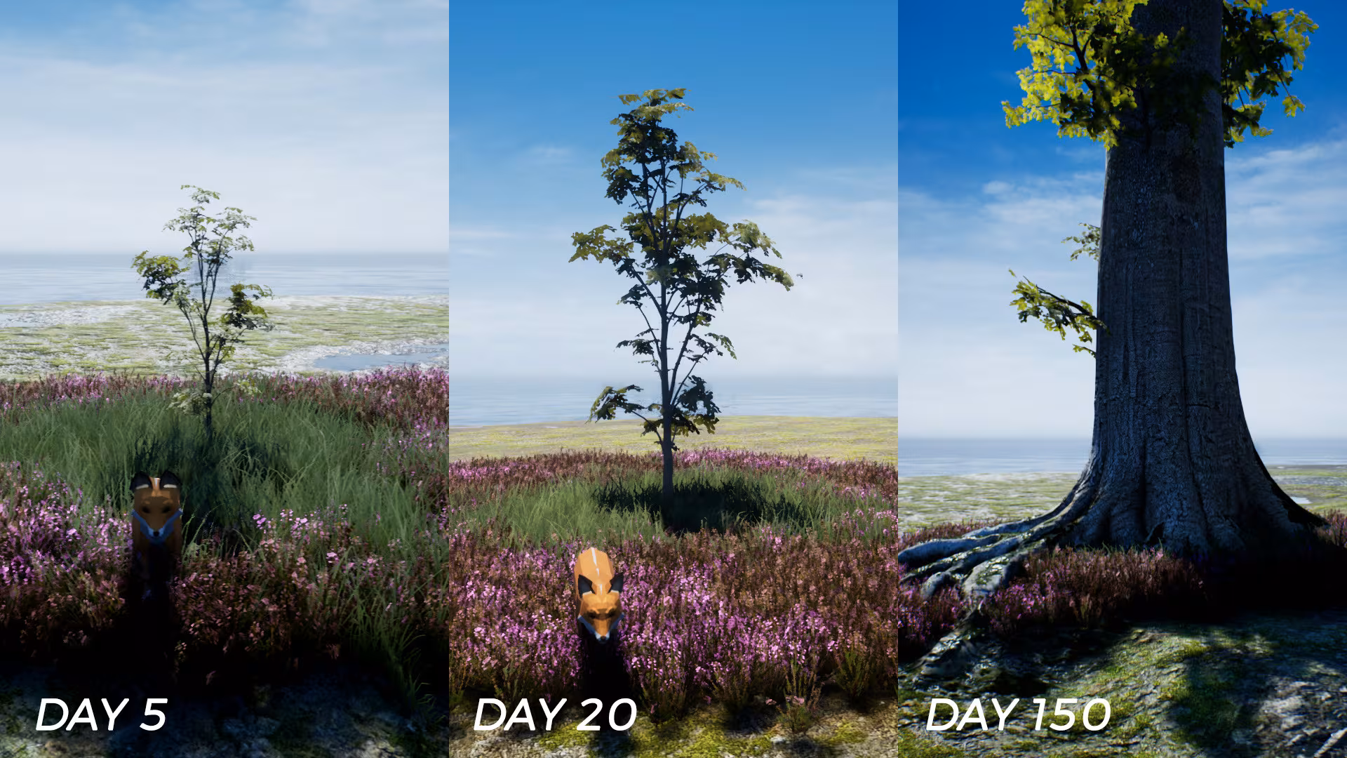 PLAYNE : The Meditation Game - playne-the-meditation-game_3.avif