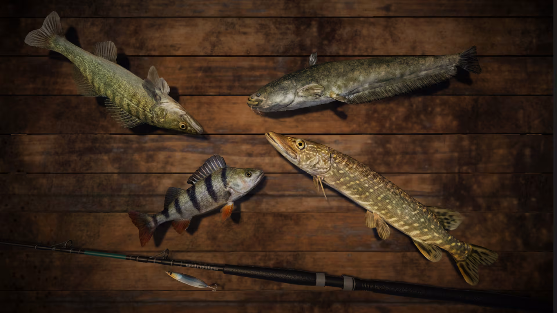 Professional Fishing - professional-fishing_5.avif