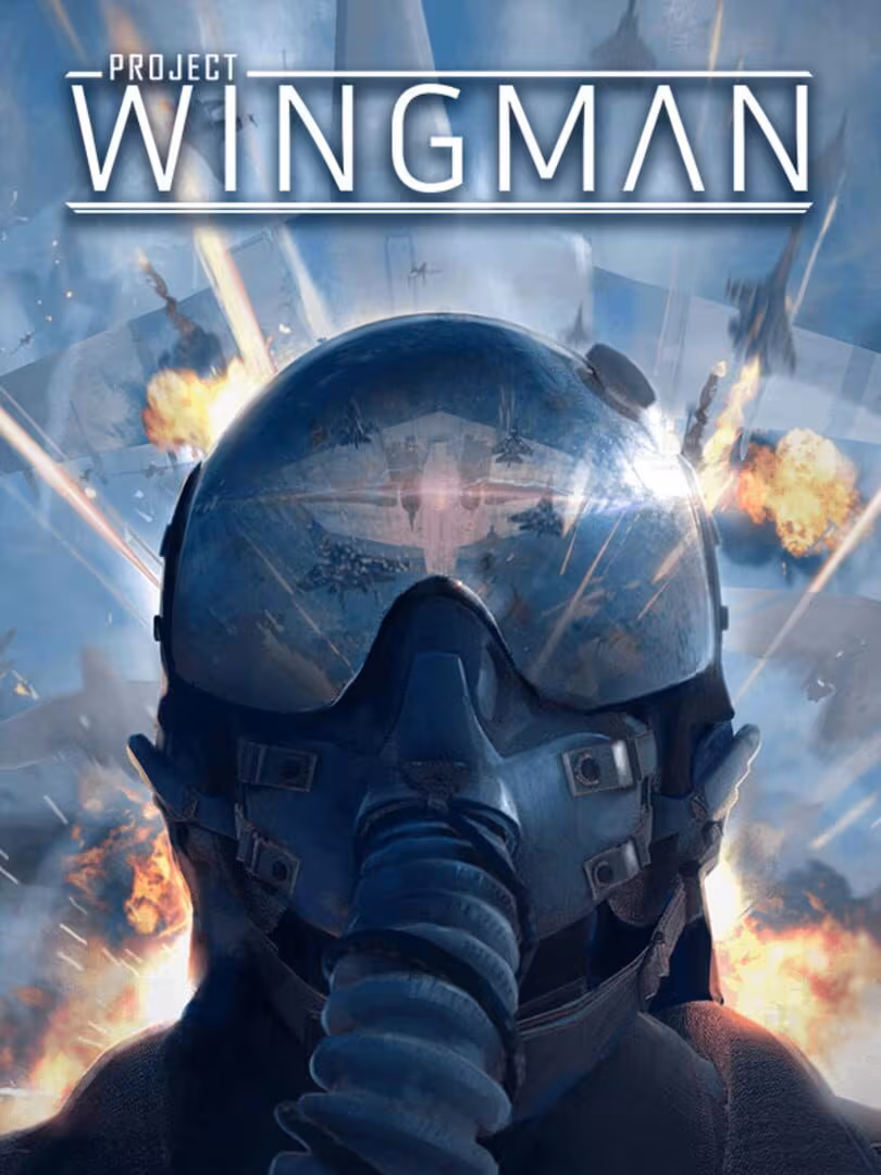 Capsule for Project Wingman