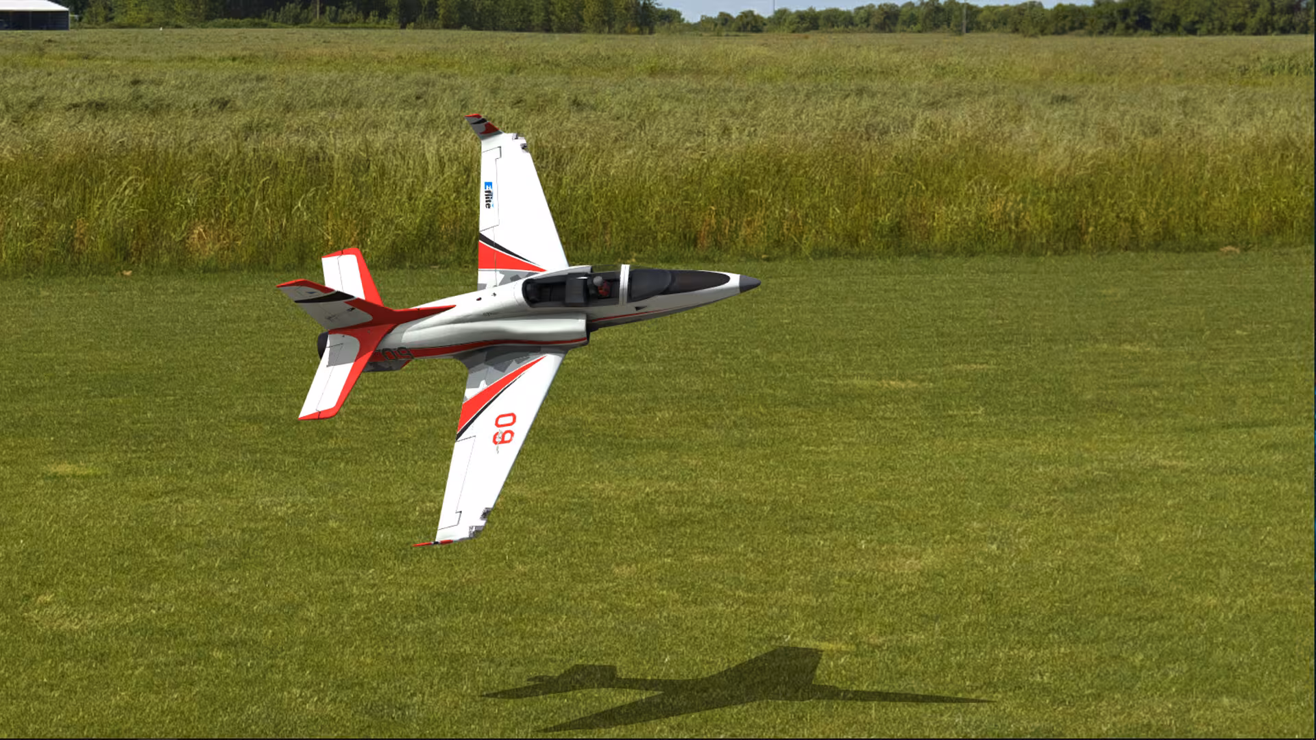 RealFlight Evolution - realflight-evolution_5.avif