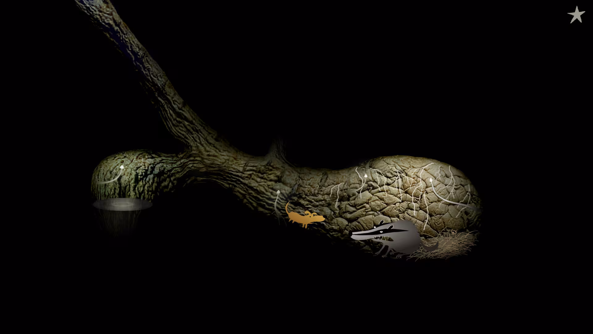 Samorost 2 - samorost-2_2.avif