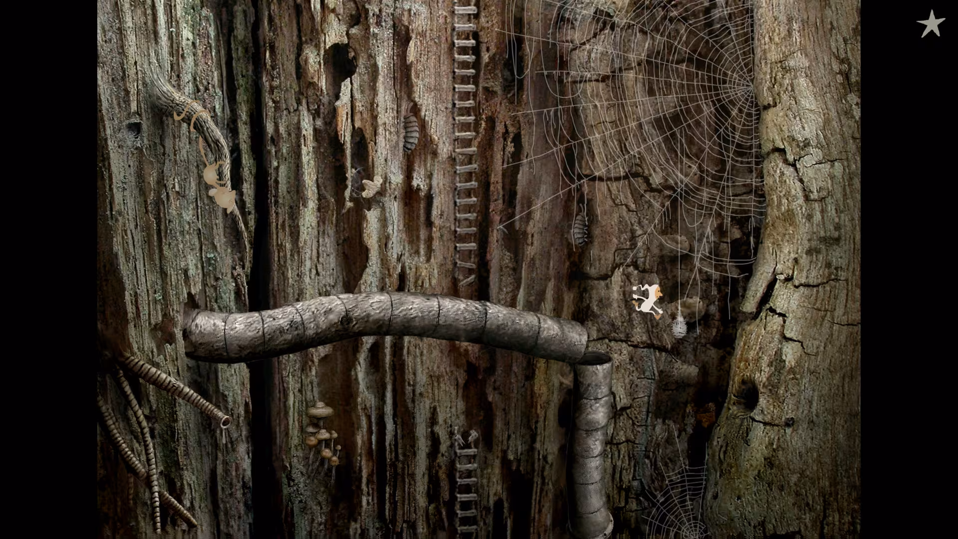 Samorost 2 - samorost-2_5.avif