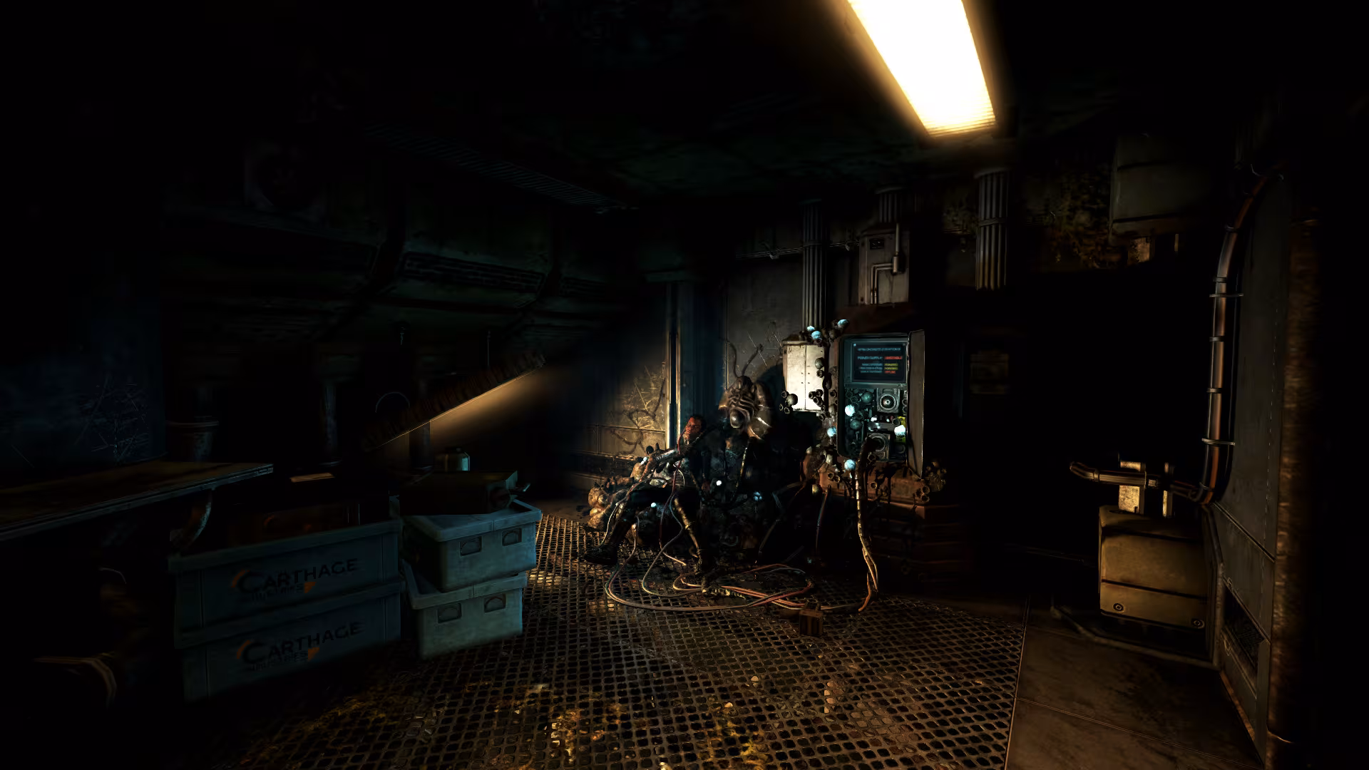 SOMA - soma_5.avif