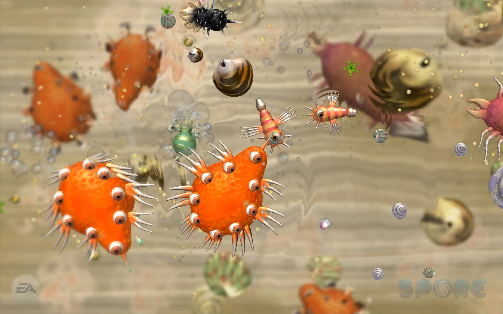 SPORE™ - spore_5.avif