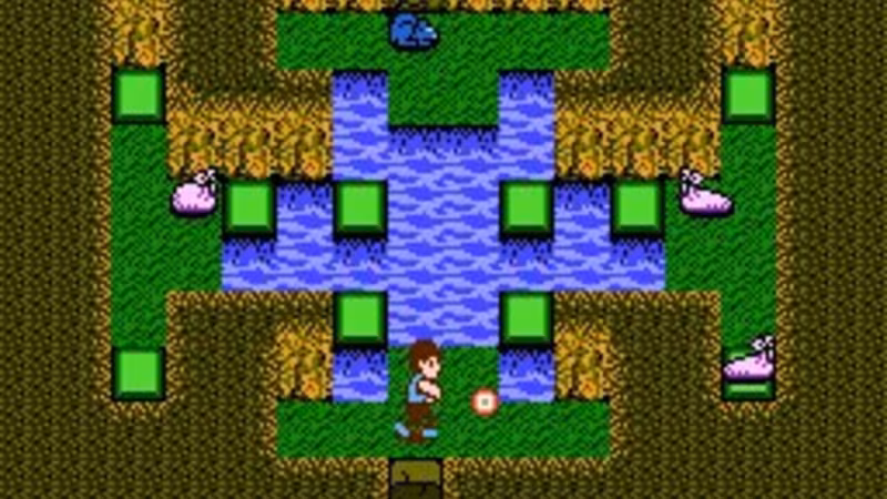 StarTropics - startropics_2.avif